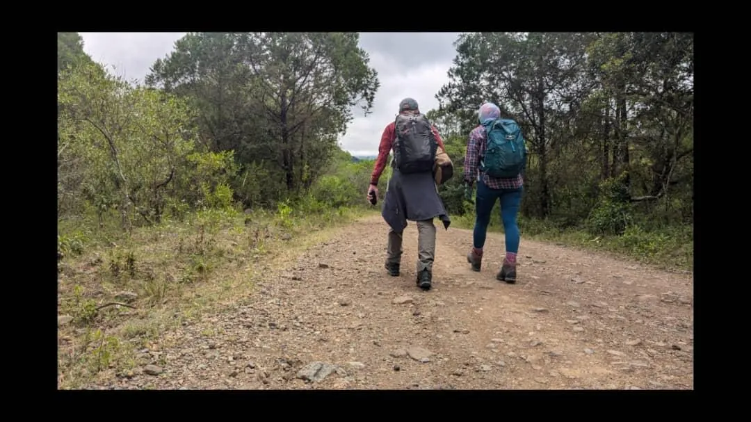 Mount Kilimanjaro trekking landscape